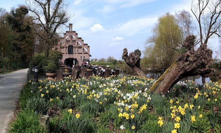 Cafe Zum Tulpenfeld